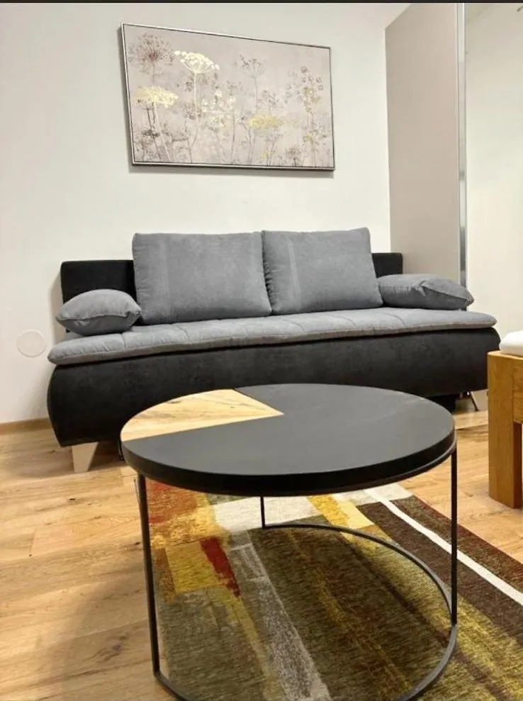 Cozy Studio In Ottakiring Area Viyana Daire